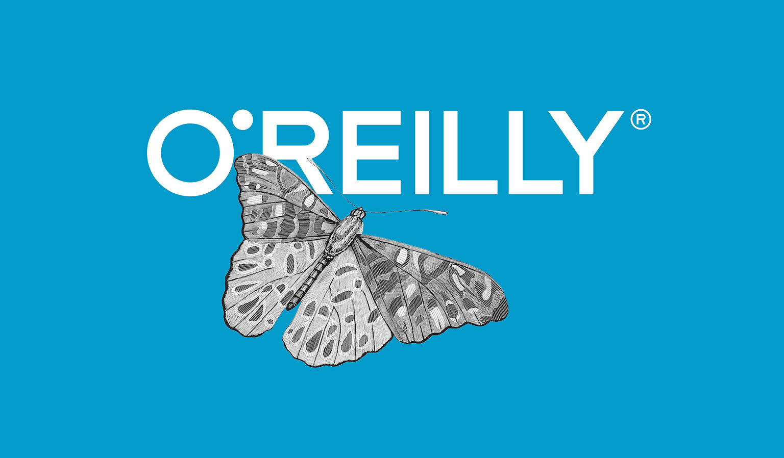 Oreilly big11