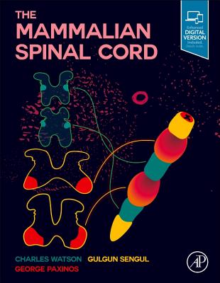 The Mammalian Spinal Cord-cover