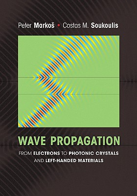 Wave Propagation: From Electrons to Photonic Crystals and Left-Handed Materials-cover
