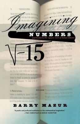 Imagining Numbers-cover