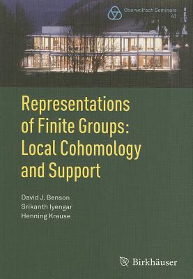 Representations of Finite Groups: Local Cohomology and Support-cover