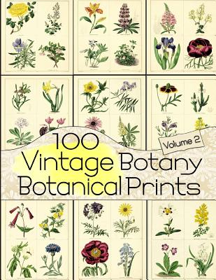 100 Vintage Botany Botanical Prints Volume 2-cover