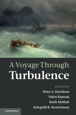 A Voyage Through Turbulence-cover
