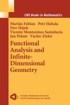 Functional Analysis and Infinite-Dimensional Geometry-cover