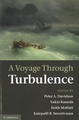 A Voyage Through Turbulence-cover