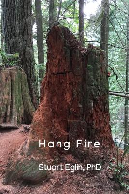 Hang Fire-cover