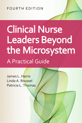 Clinical Nurse Leaders Beyond the Microsystem: A Practical Guide-cover