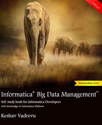 Informatica Big Data Management: Self study book for Informatica Developers-cover