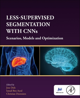 Less-Supervised Segmentation with Cnns: Scenarios, Models and Optimization-cover