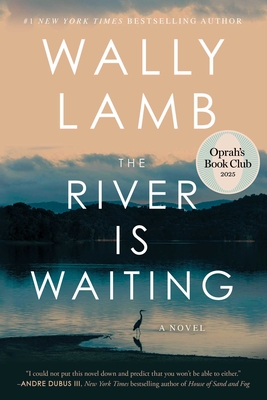 The River Is Waiting (Oprah's Book Club)-cover