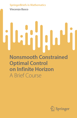 Nonsmooth Constrained Optimal Control on Infinite Horizon: A Brief Course-cover