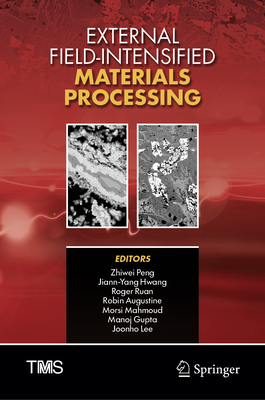 External Field-Intensified Materials Processing-cover