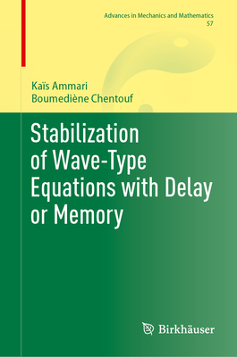 Stabilization of Wave-Type Equations with Delay or Memory-cover