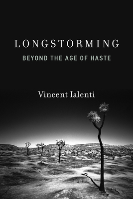 Longstorming: Beyond the Age of Haste-cover