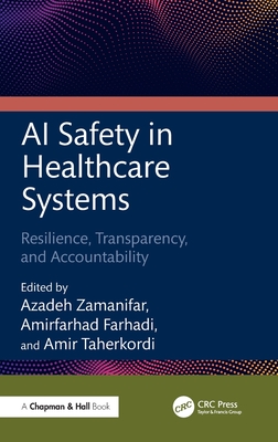 AI Safety in Healthcare Systems: Resilience, Transparency, and Accountability