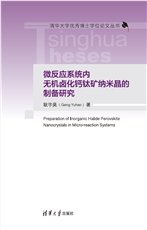 用於鋰金屬電池的固態電解質結構設計與性能研究-preview-5