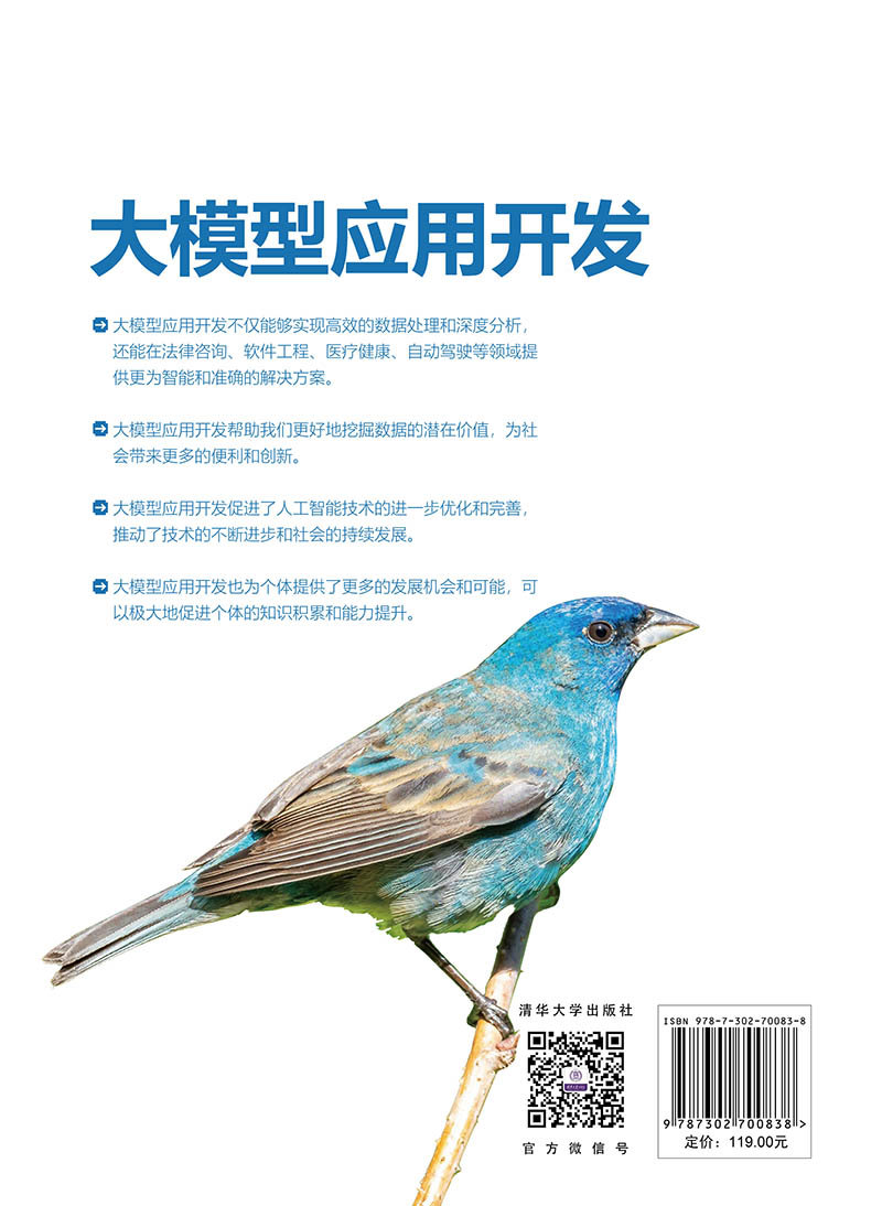 大模型應用開發-preview-2