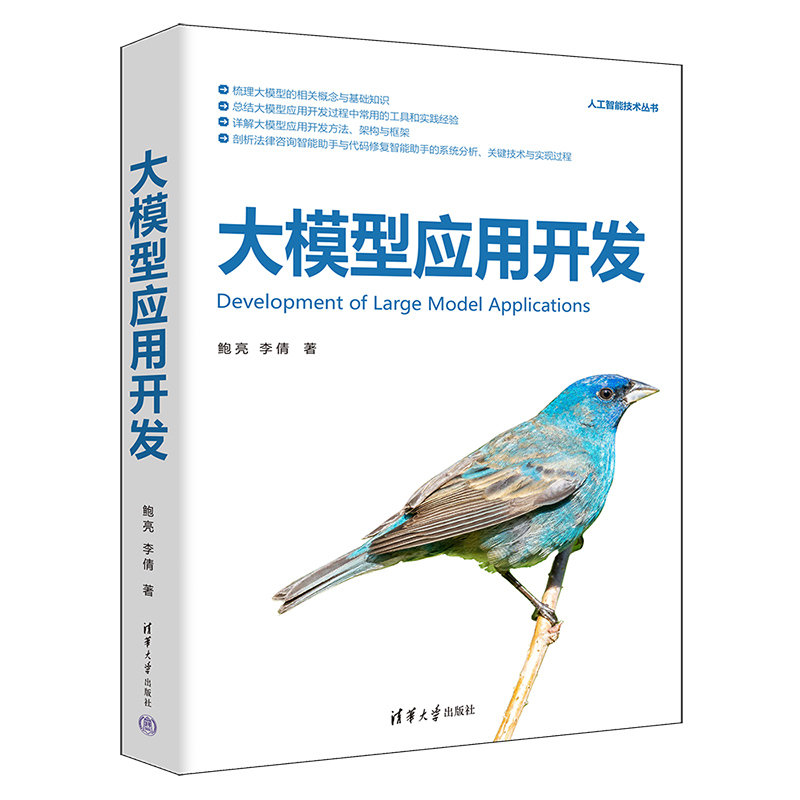 大模型應用開發-preview-3