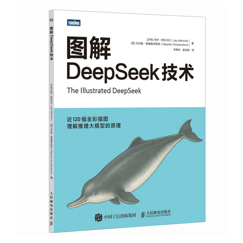 圖解DeepSeek技術 簽名版-preview-2