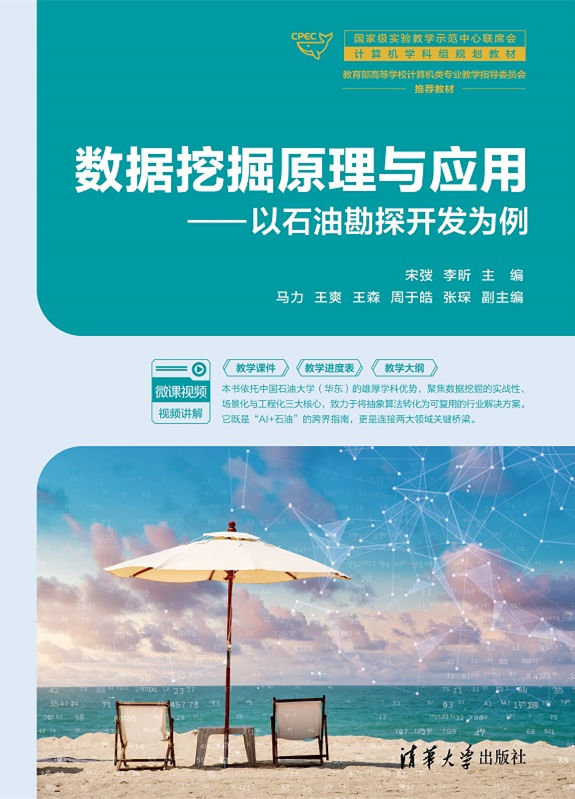 數據挖掘原理與應用——以石油勘探開發為例-preview-1
