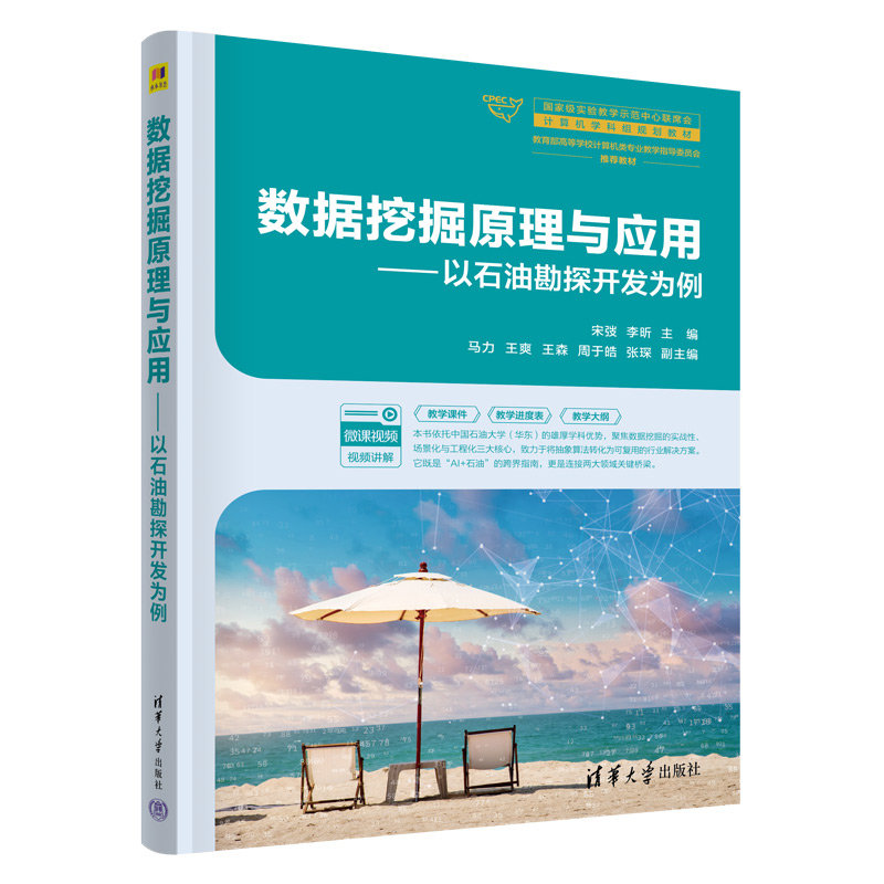 數據挖掘原理與應用——以石油勘探開發為例-preview-3