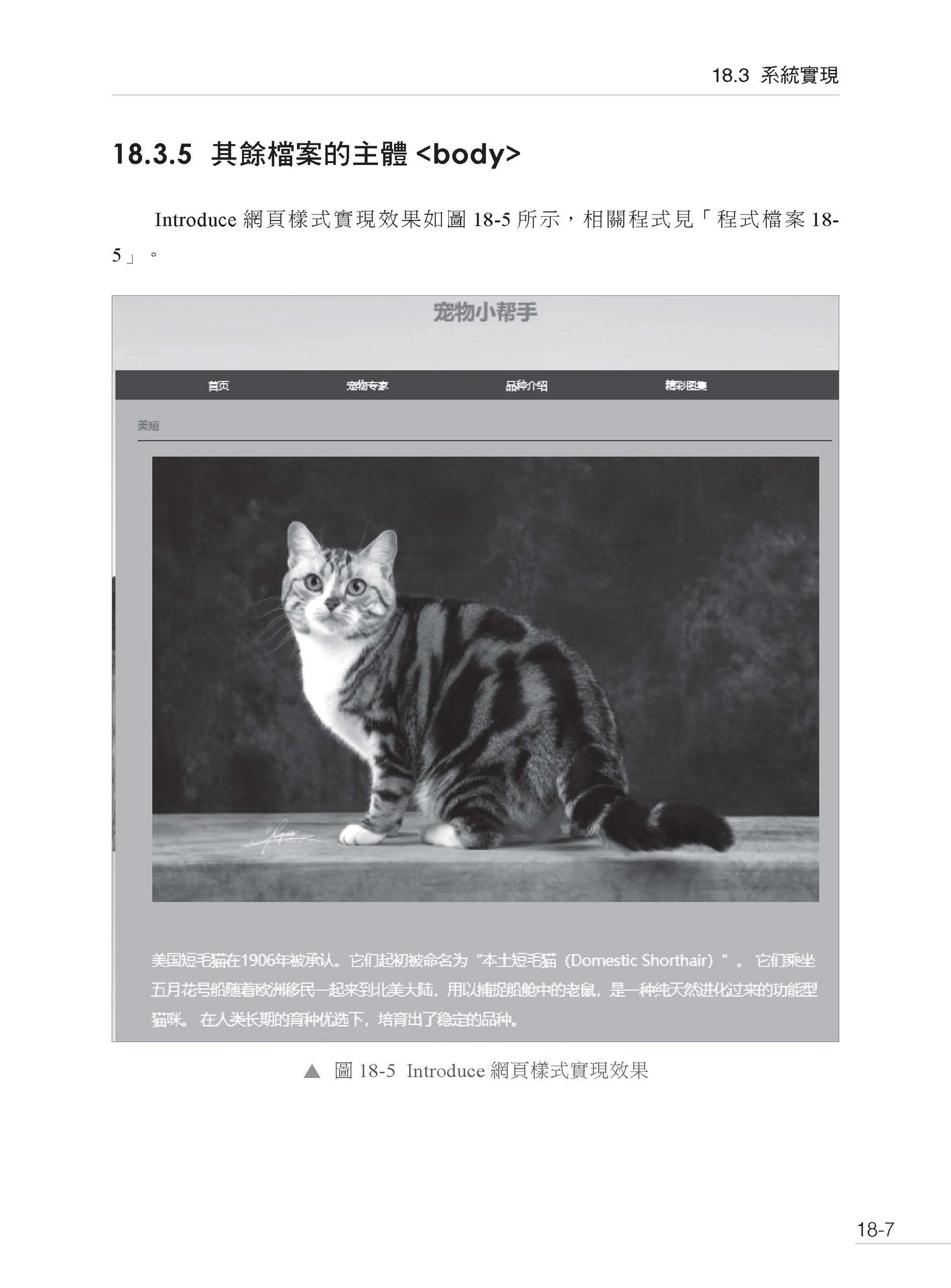 LLM 應用開發 - 業界最實用 30個應用現場直擊-preview-8