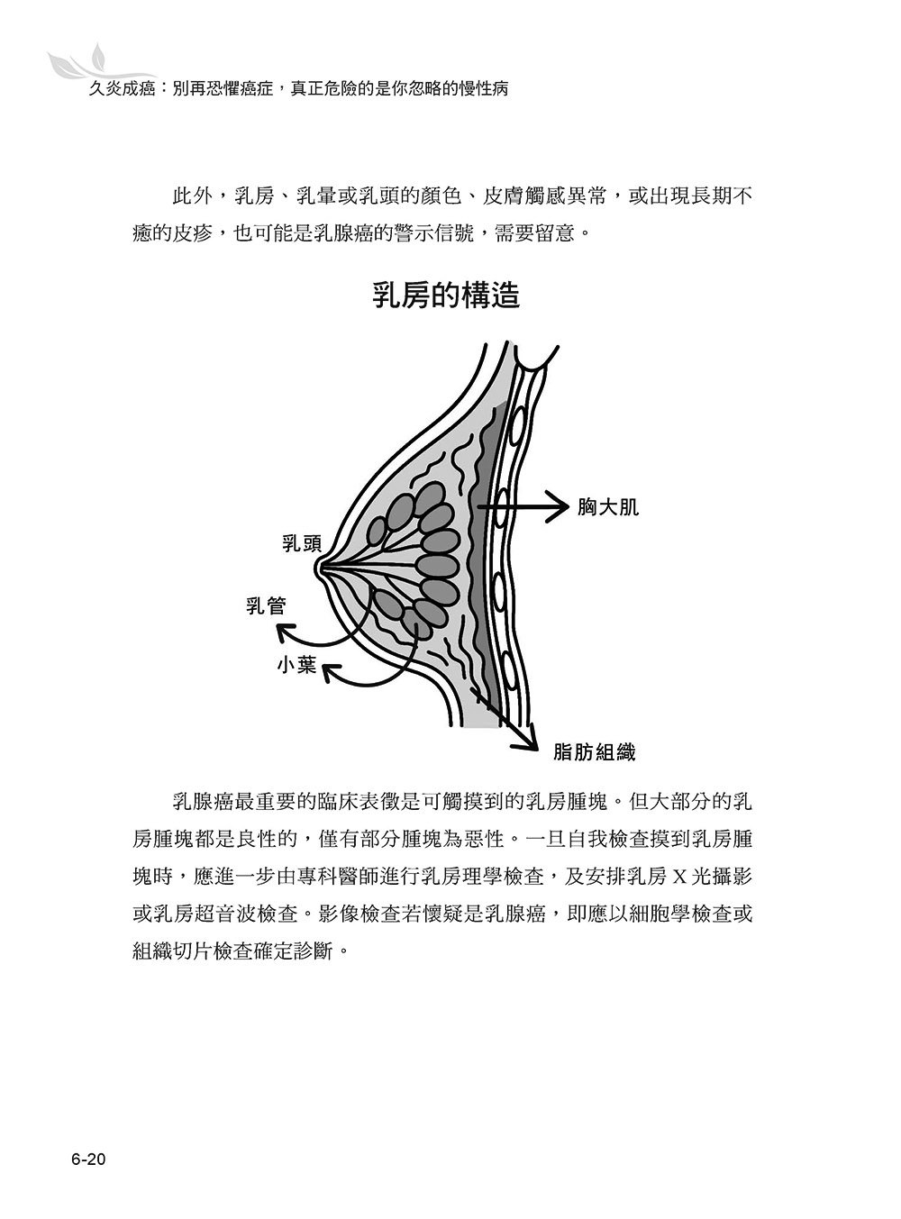 久炎成癌:別再恐懼癌症,真正危險的是你忽略的慢性病-preview-13