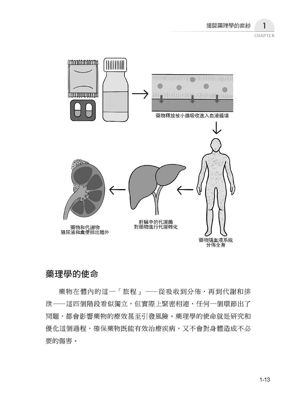 圖解藥理學：從止痛藥到抗癌藥，揭開藥物運作的祕密-preview-15