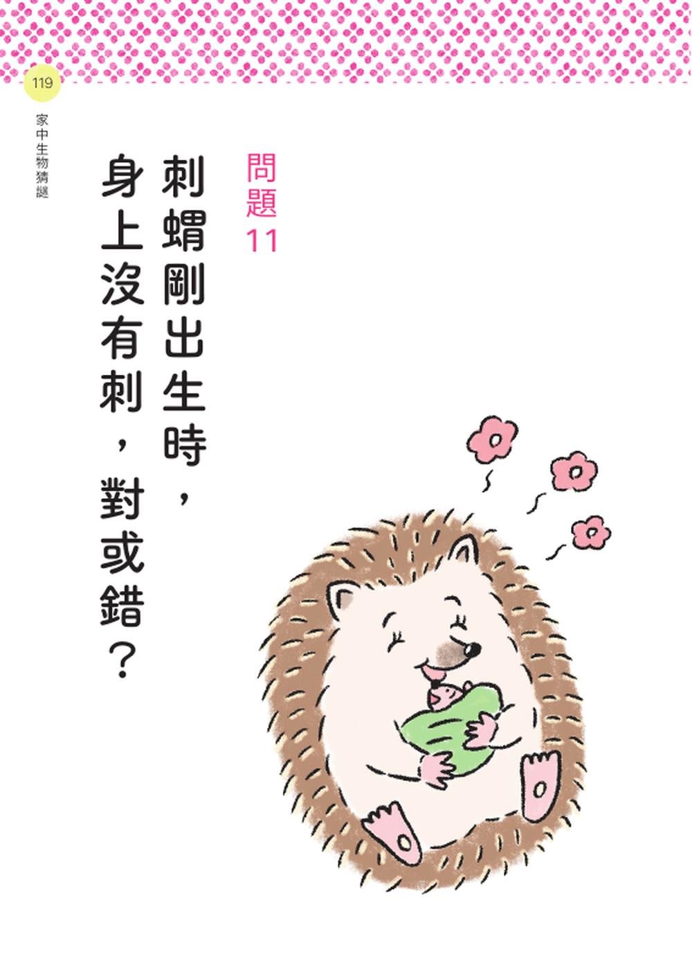 動物昆蟲來解謎:有趣的背後,真相只有一個!-preview-7