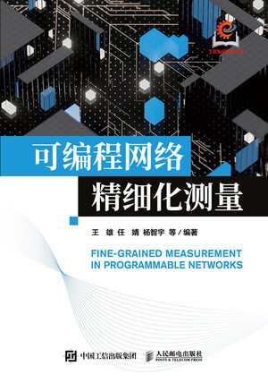 可編程網絡精細化測量-preview-1