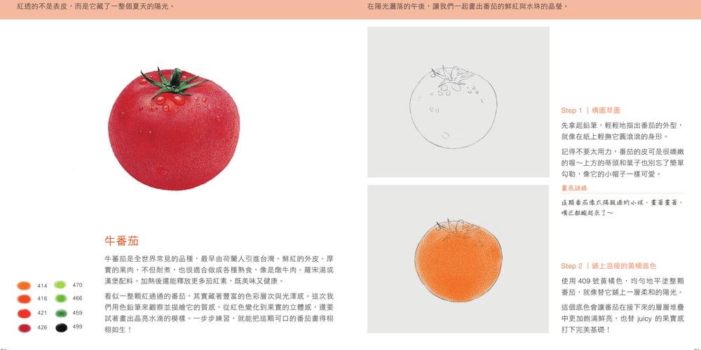 像真的一樣 -- 色鉛筆寫實教室-preview-1