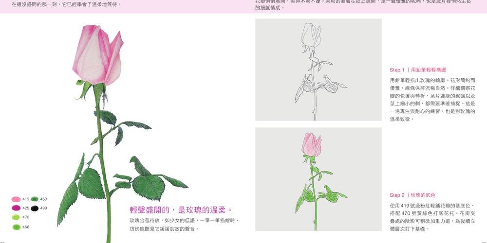 像真的一樣 -- 色鉛筆寫實教室-preview-6