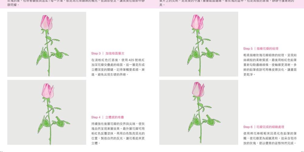 像真的一樣 -- 色鉛筆寫實教室-preview-7