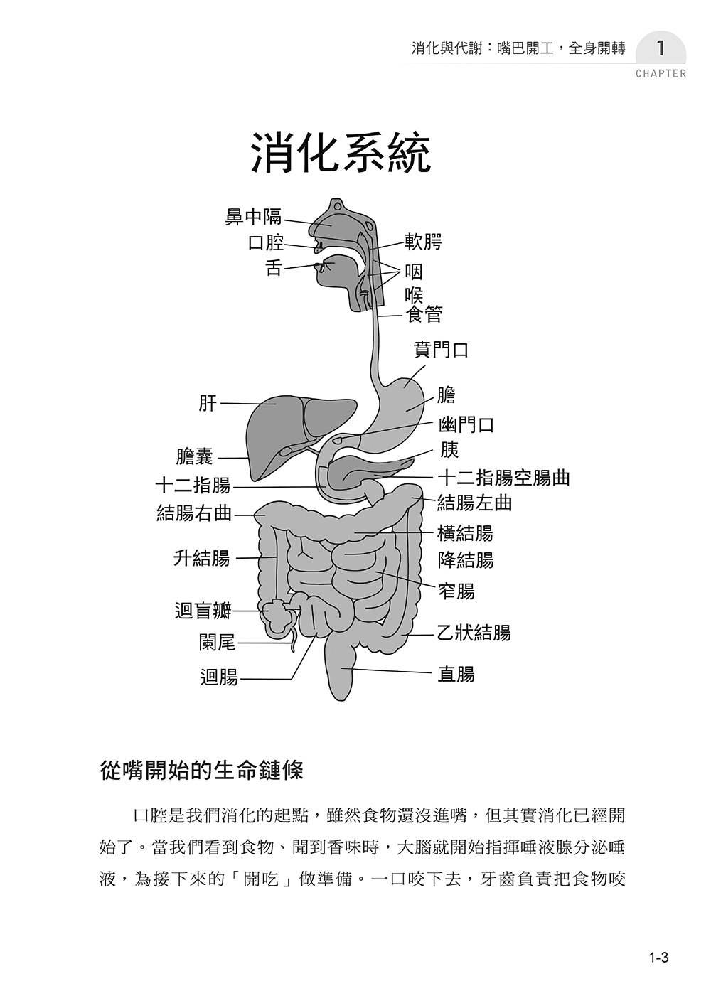 圖解基礎醫學：從吃飯、呼吸到情緒反應，讀懂身體如何運作-preview-4