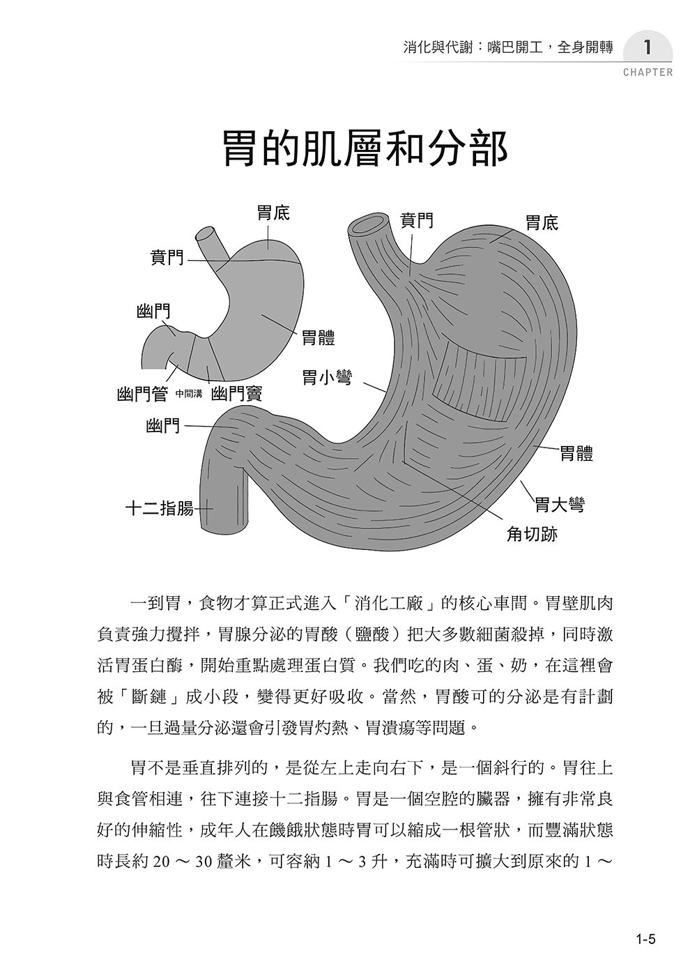 圖解基礎醫學：從吃飯、呼吸到情緒反應，讀懂身體如何運作-preview-6