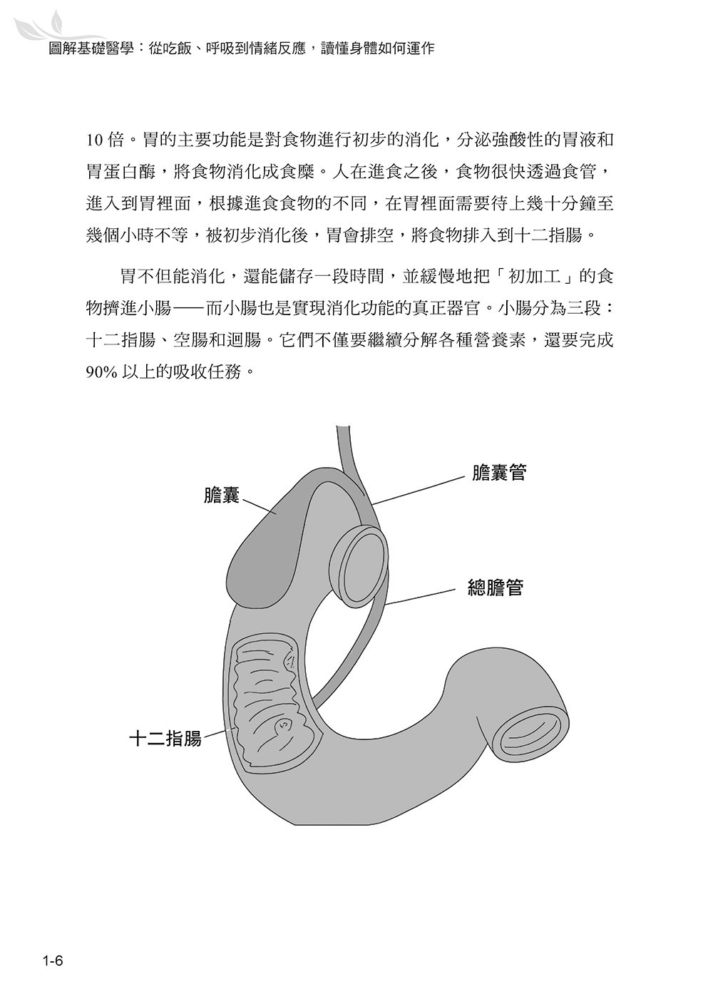 圖解基礎醫學：從吃飯、呼吸到情緒反應，讀懂身體如何運作-preview-7