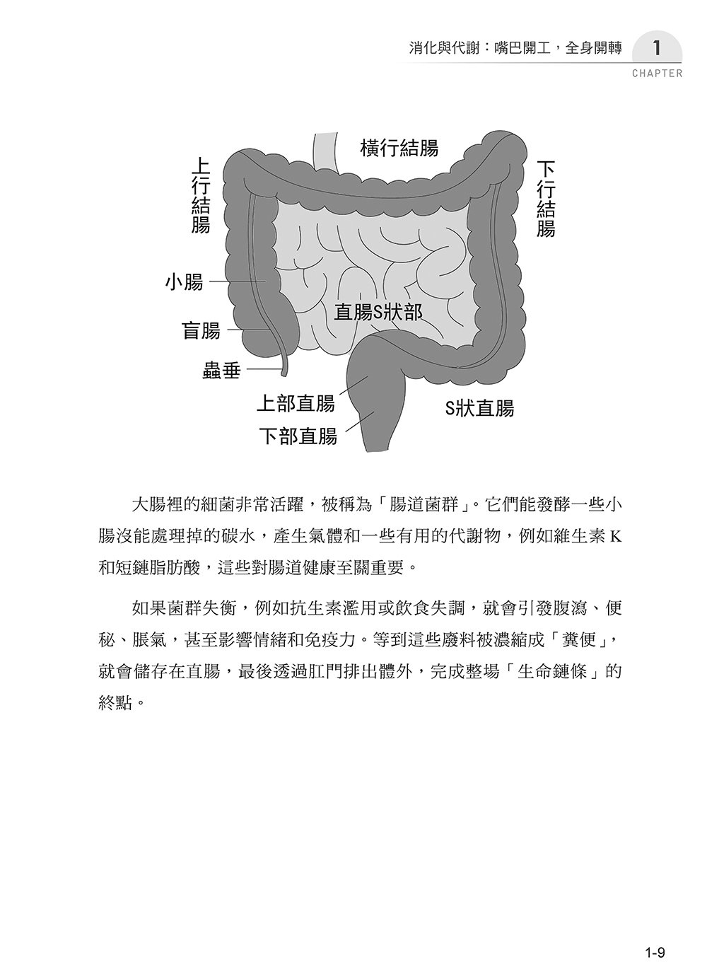 圖解基礎醫學：從吃飯、呼吸到情緒反應，讀懂身體如何運作-preview-10