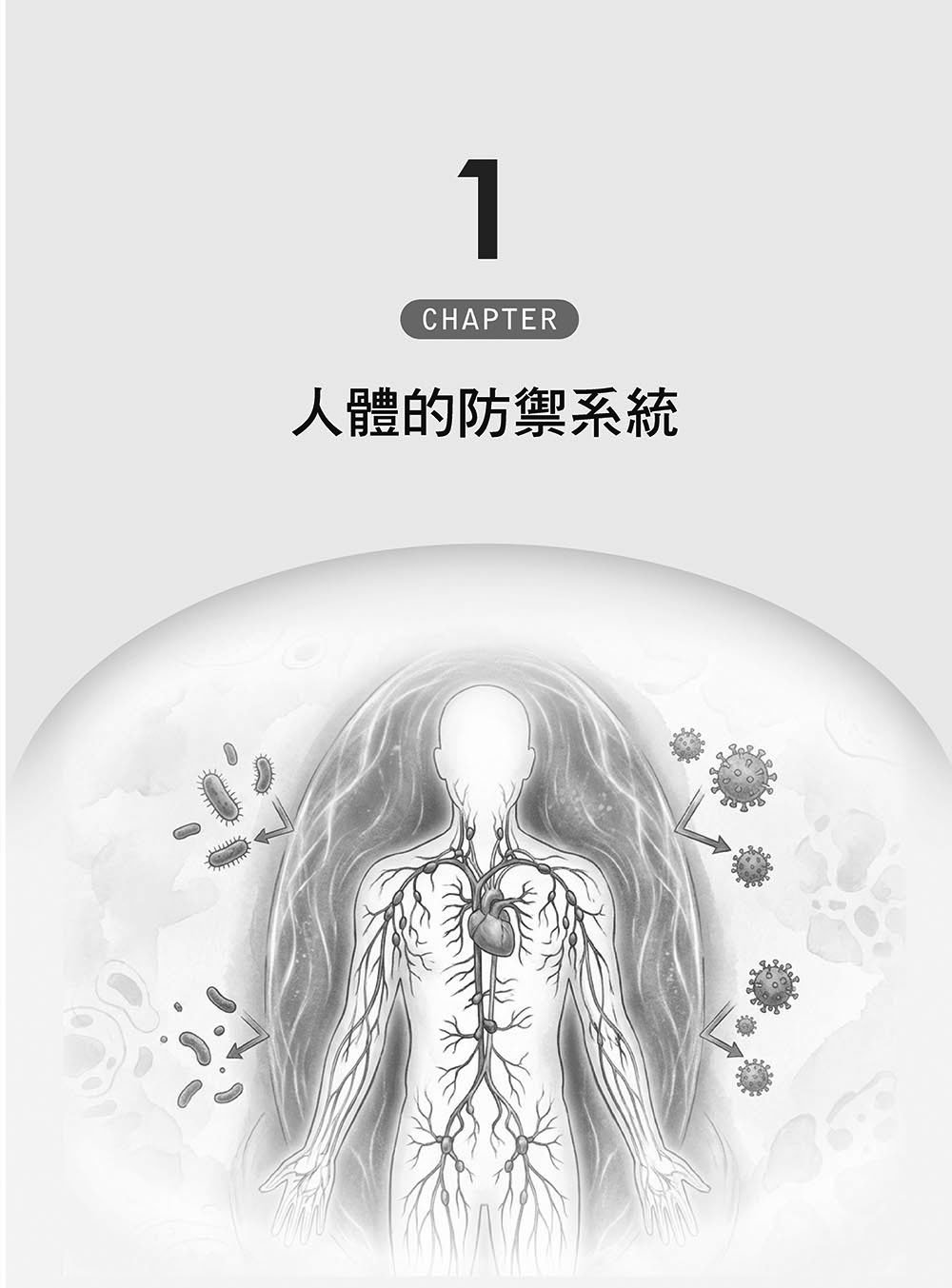 圖解免疫學：從防禦到平衡，讀懂身體的免疫智慧-preview-2