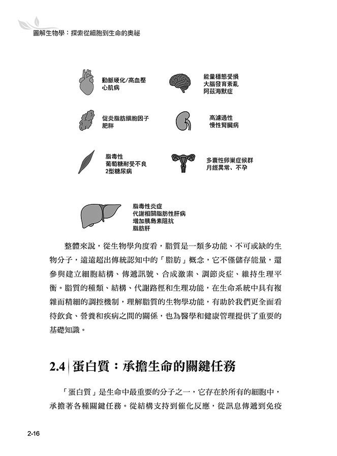 圖解生物學:探索從細胞到生命的奧祕-preview-4