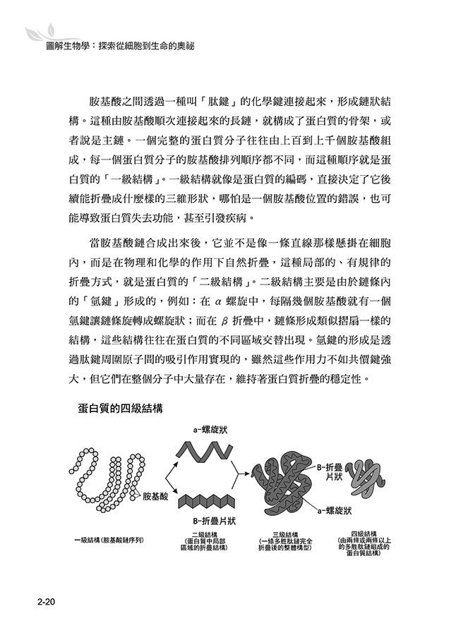 圖解生物學:探索從細胞到生命的奧祕-preview-5