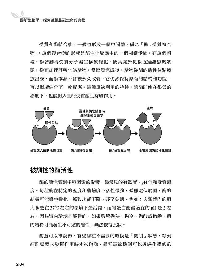 圖解生物學:探索從細胞到生命的奧祕-preview-6