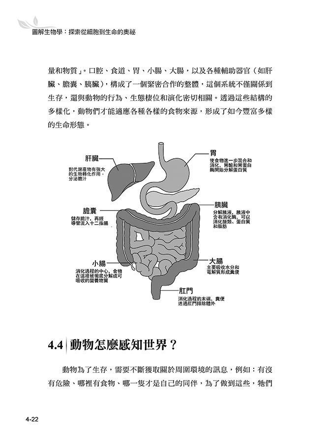 圖解生物學:探索從細胞到生命的奧祕-preview-9