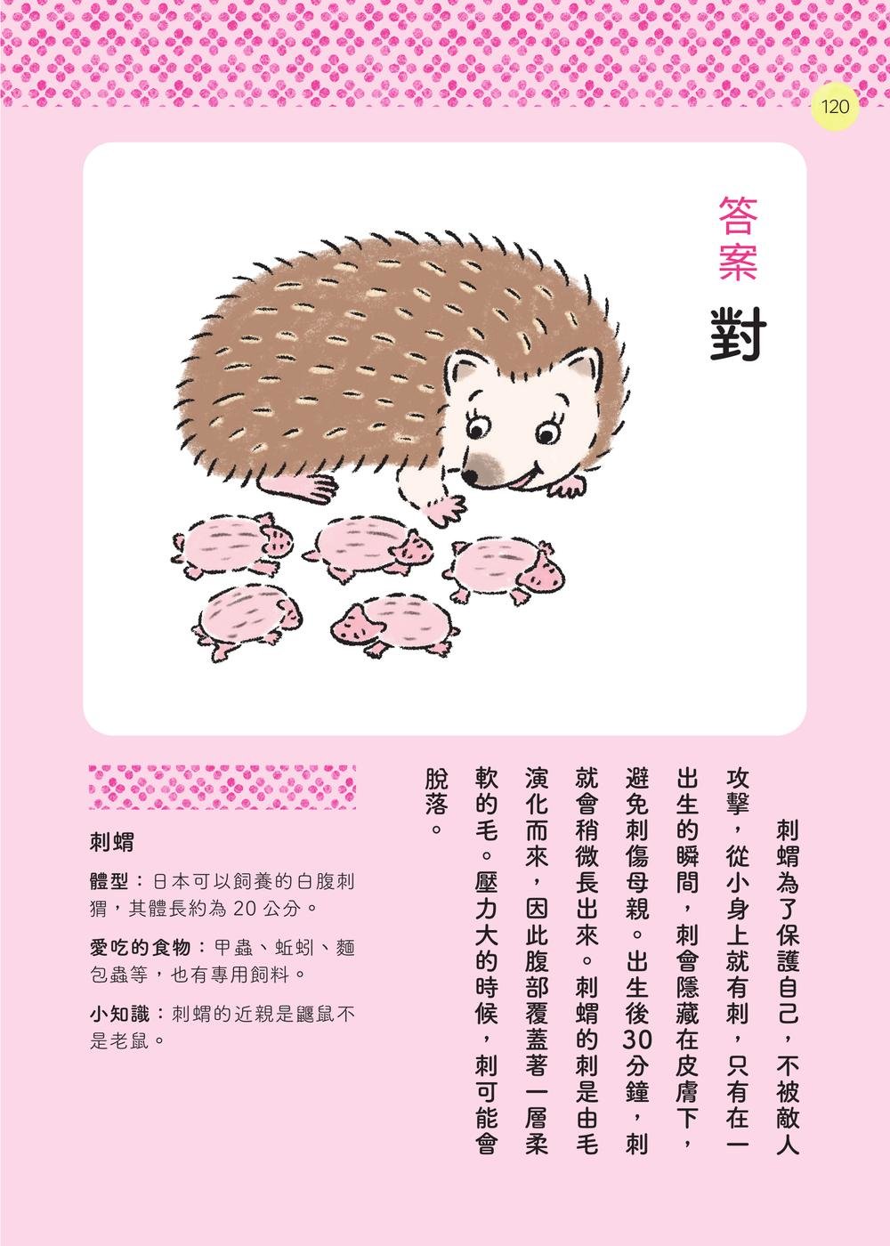 動物昆蟲來解謎：有趣的背後，真相只有一個！(暢銷版)-preview-8