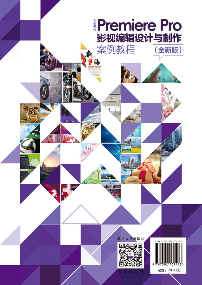 Adobe Premiere Pro影視編輯設計與制作案例教程（全新版）-preview-2