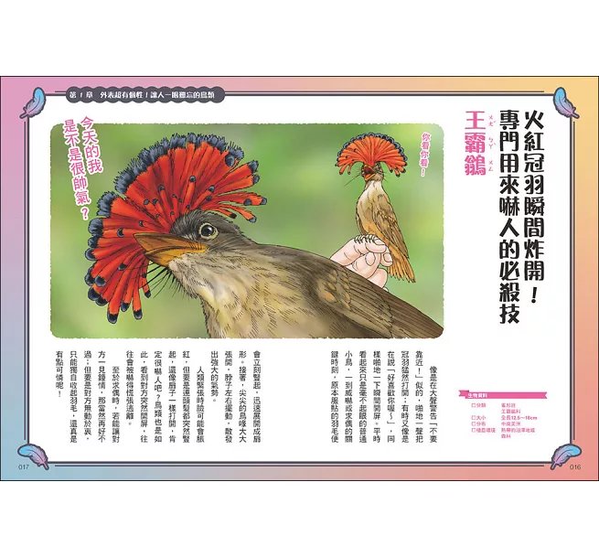 令人大開眼界的趣味鳥圖鑑 ：顛覆想像的超狂真相！驚奇外貌×爆笑行為×生存絕技，67種世界怪奇鳥類大揭密-preview-2