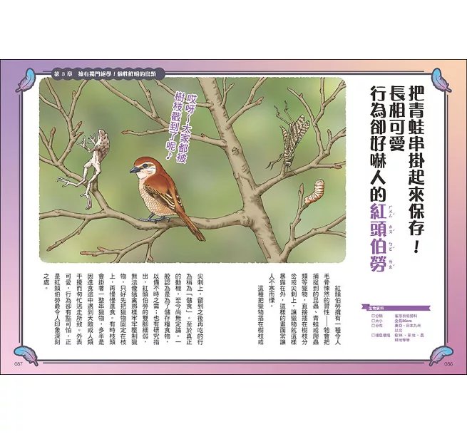 令人大開眼界的趣味鳥圖鑑 ：顛覆想像的超狂真相！驚奇外貌×爆笑行為×生存絕技，67種世界怪奇鳥類大揭密-preview-4