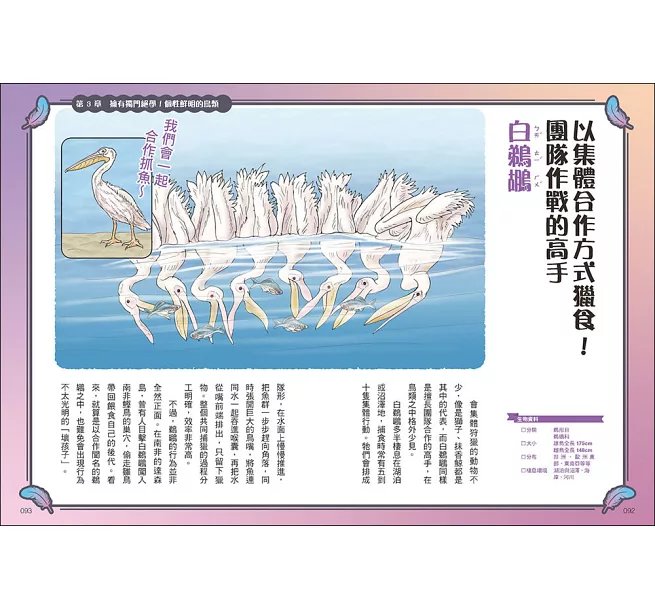 令人大開眼界的趣味鳥圖鑑 ：顛覆想像的超狂真相！驚奇外貌×爆笑行為×生存絕技，67種世界怪奇鳥類大揭密-preview-5
