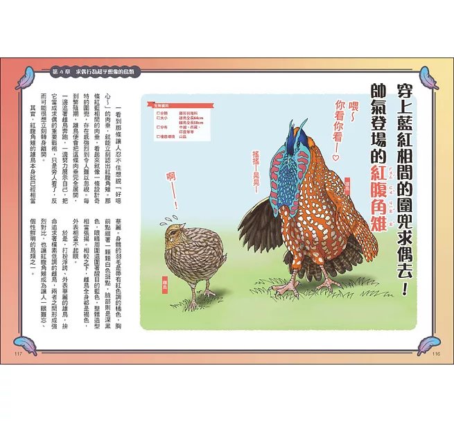 令人大開眼界的趣味鳥圖鑑 ：顛覆想像的超狂真相！驚奇外貌×爆笑行為×生存絕技，67種世界怪奇鳥類大揭密-preview-7