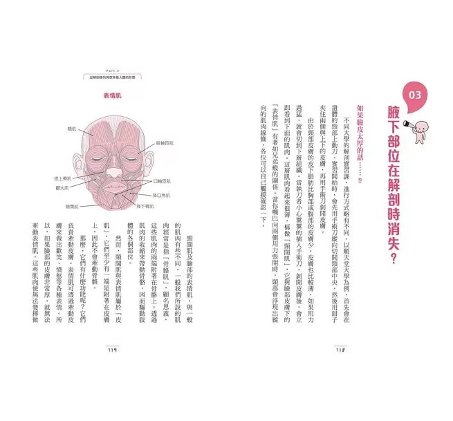 有趣到睡不著的解剖學：腋下是隱藏版的重地-preview-6