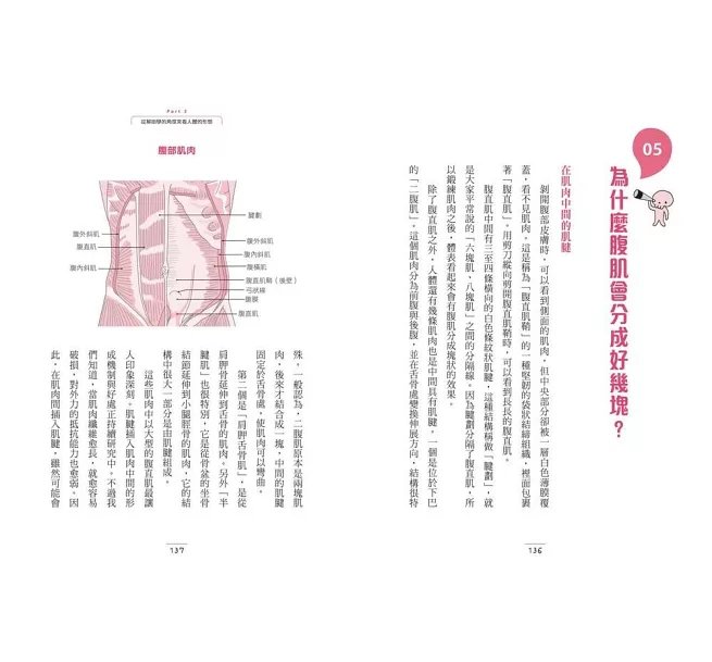 有趣到睡不著的解剖學：腋下是隱藏版的重地-preview-7